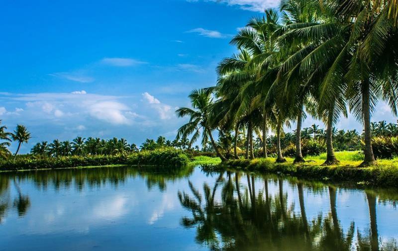 Sea Breeze Beach Home Alappuzha Экстерьер фото